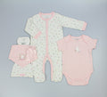 5pc Gift Set - Pink Teddy (0-9m) (PK6) N14775