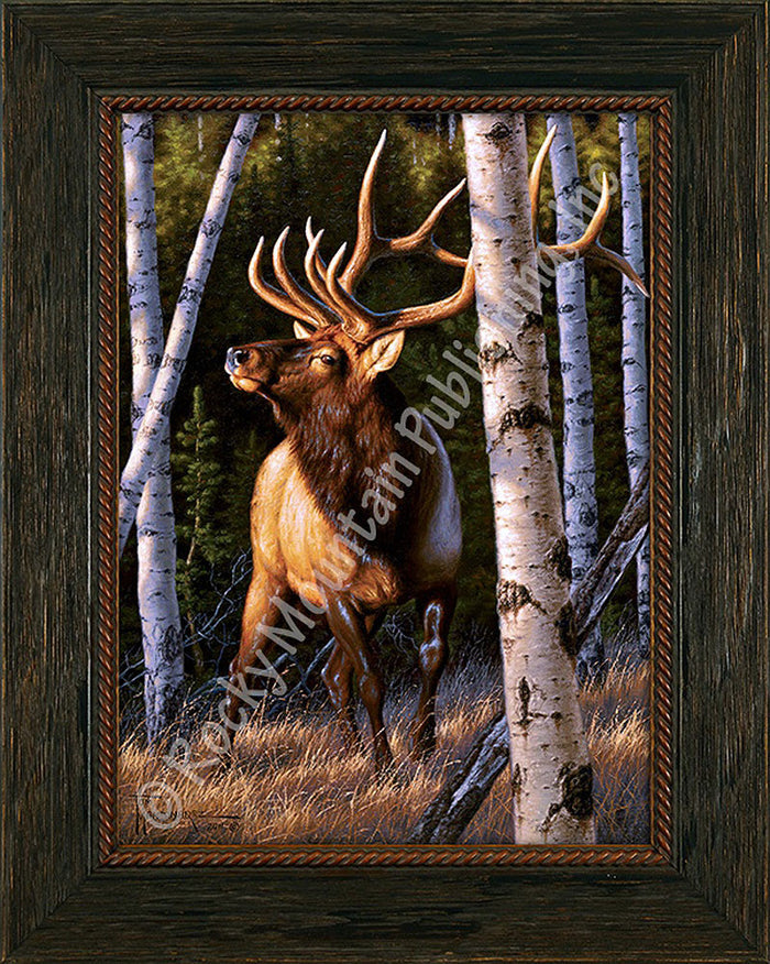 Autumn Glow – Framed Giclee Canvas by Tom Mansanarez