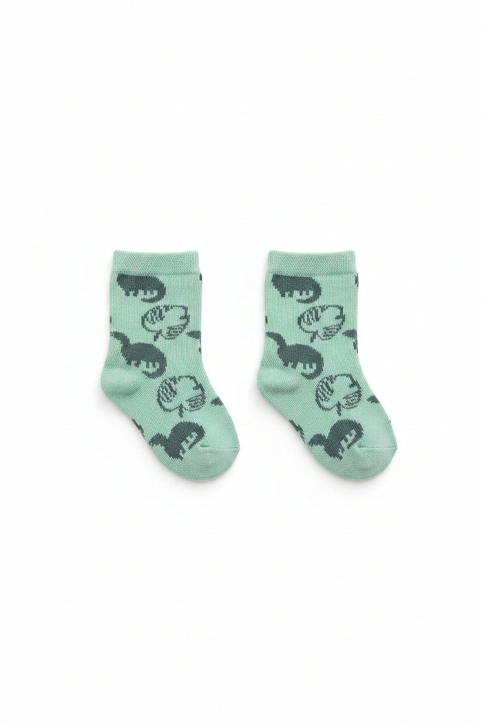 Baby Sneakers - Dino (PK12) (9-21M) SN176SG*