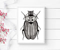 PinkPolish Design Art Prints "Beetle Distraction" Ink Drawing: Art Print