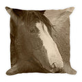 Blaze N Gray Throw Pillow