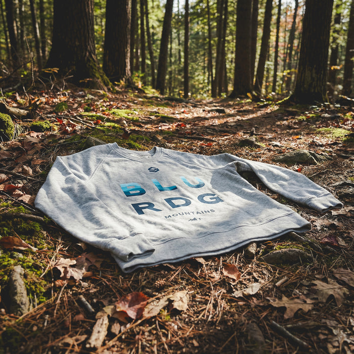 Blue Ridge Mountains Logo Fleece | Mens