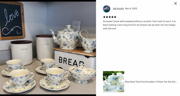 Blue Rose Toile Fine Porcelain Tea Set