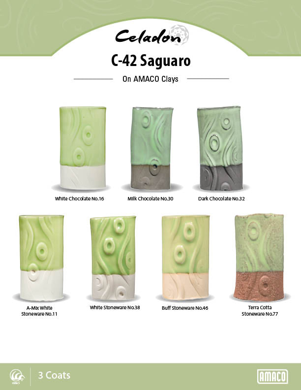C-42 Pt Saguaro