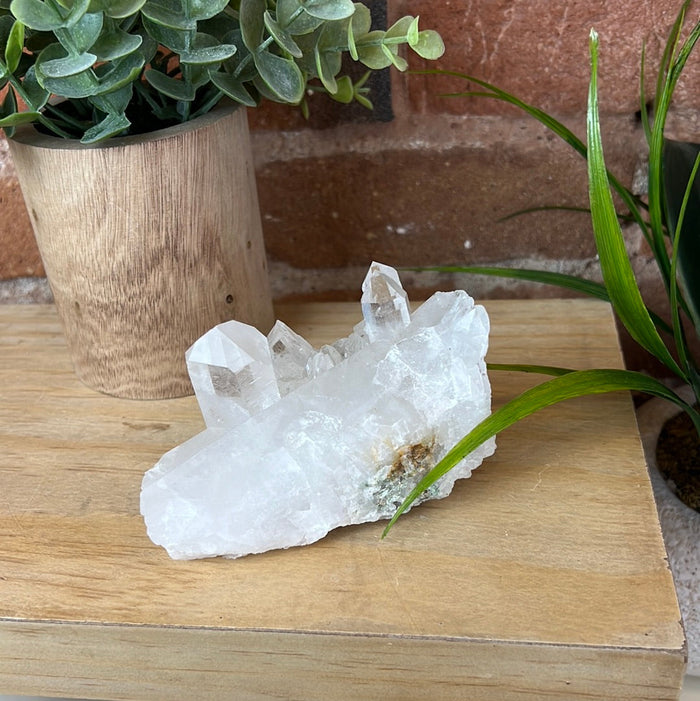 Clear Quartz Cluster Specimen (0.5-0.9lb)