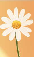 Cutest Daisy Ever