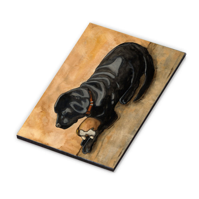PinkPolish Design Refrigerator Magnets "Dog Toy"  2"x3" Wood Refrigerator Magnet