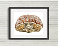 PinkPolish Design Art Prints 11"x14" "Folk Art Sea Turtle"  Watercolor Painting: Art Print