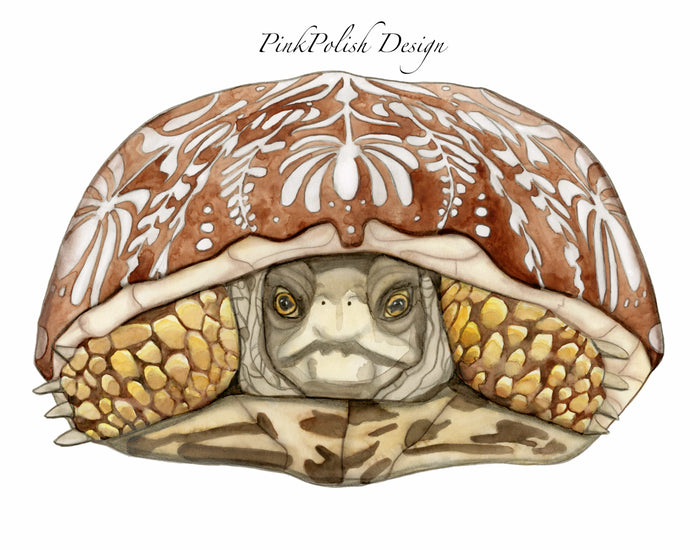 PinkPolish Design Art Prints 11"x14" "Folk Art Sea Turtle"  Watercolor Painting: Art Print