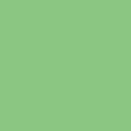 FreeSpirit Fabrics - Designer Solids - Cricket - CSFSESS.CRICK - Sold by the Half Yard