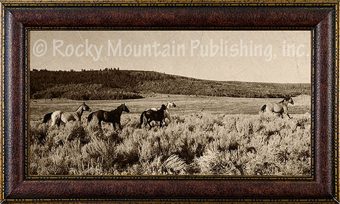 Open Range – Framed Giclee Canvas by Mitchell Mansanarez