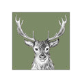 Paul, green • Beverage Napkins