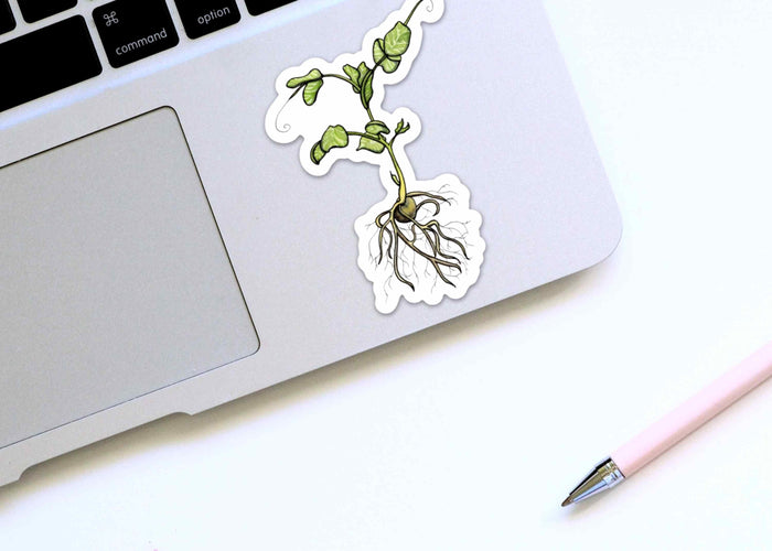 PinkPolish Design Stickers "Pea Sprout" Vinyl Die Cut Sticker