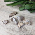 Petrified Wood and Chalcedony