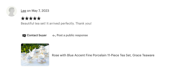 Rose with Blue Accent Fine Porcelain 11-Piece Tea Set