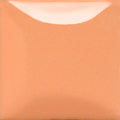SC102 - Stroke & Coat® Just Peachy - 8oz