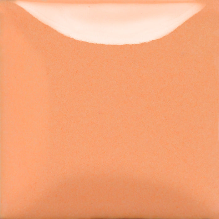 SC102 - Stroke & Coat® Just Peachy - 8oz