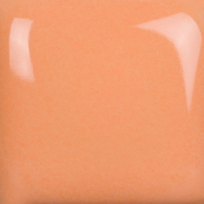 SC102 - Stroke & Coat® Just Peachy - 8oz