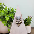 Shark Tooth with Crystal Quartz Accent Necklace