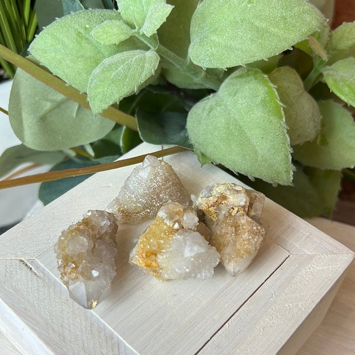 Spirit Quartz (Cactus Quartz) - South Africa