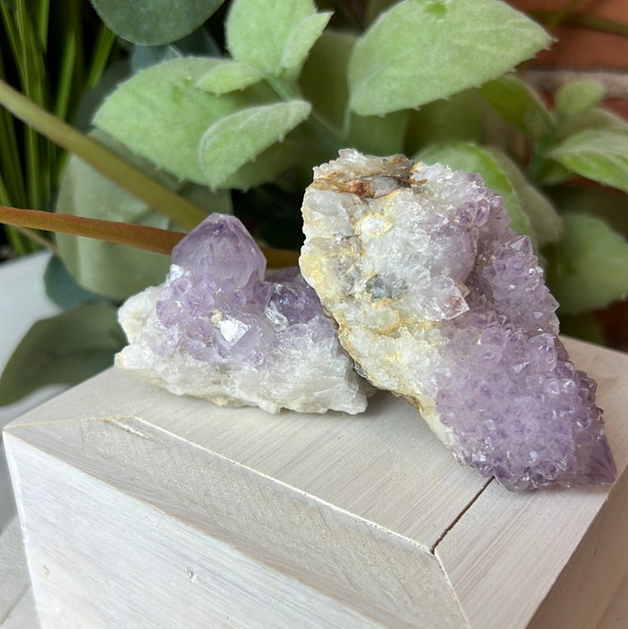 Spirit Quartz (Cactus Quartz) - South Africa
