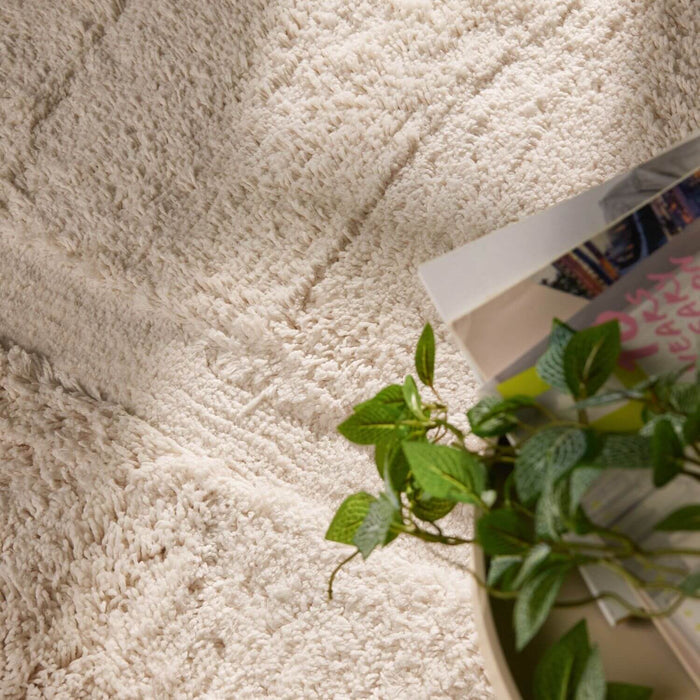 Close-up of a textured beige carpet with a plant in the corner