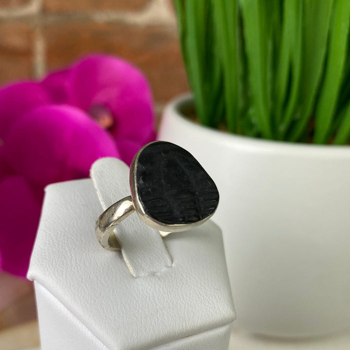 Trilobite Fossil Ring set in sterling silver Sized Band .75"