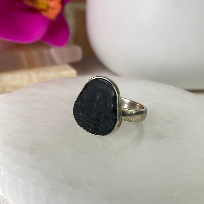 Trilobite Fossil Ring set in sterling silver Sized Band .75"
