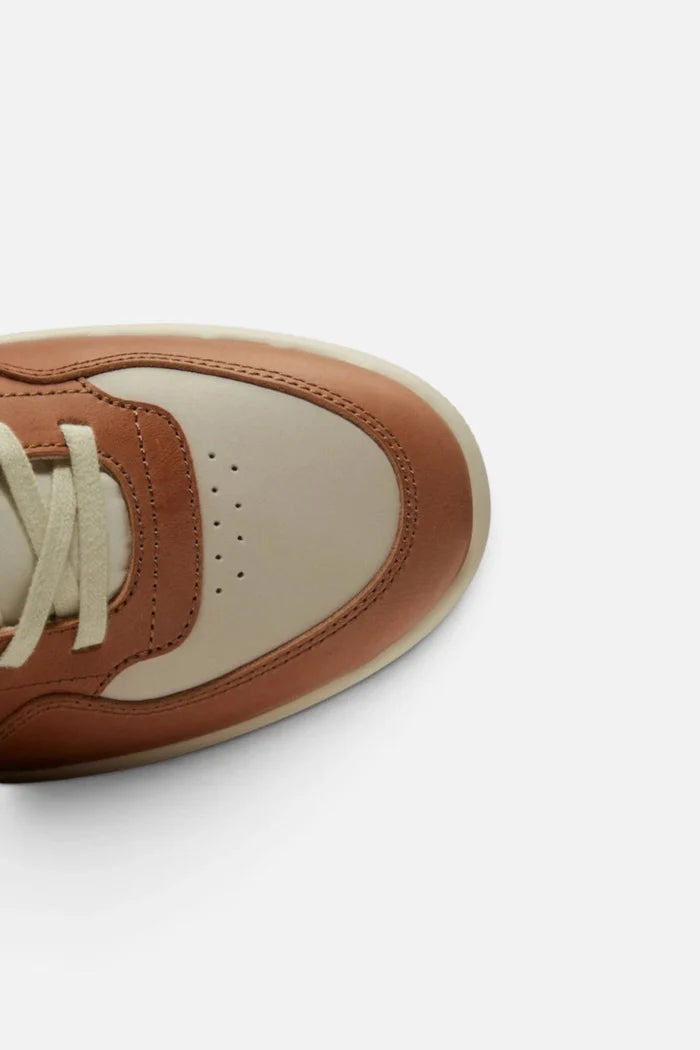 Zapatillas Timberland Jackson Court Low Lace Sneaker Beige Marron